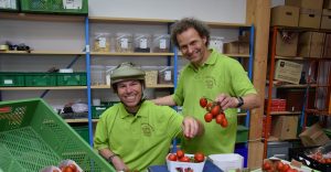 Zwei Mitarbeiter kommissionieren Tomaten