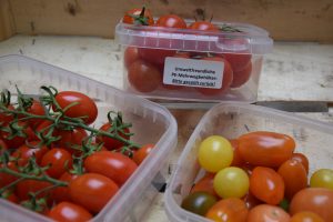 Tomaten in Mehrwegbehältern