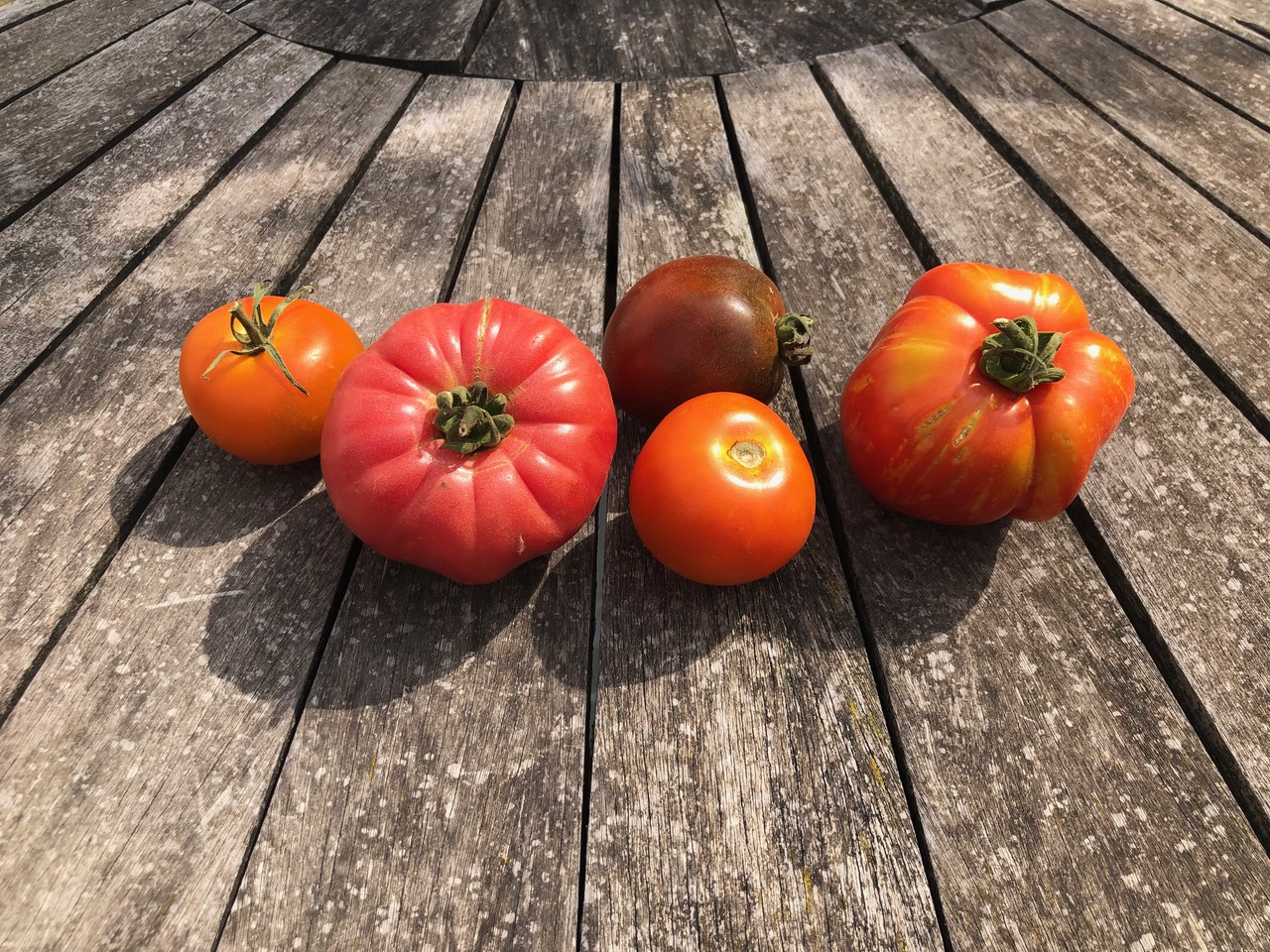 Diverse Tomatensorten