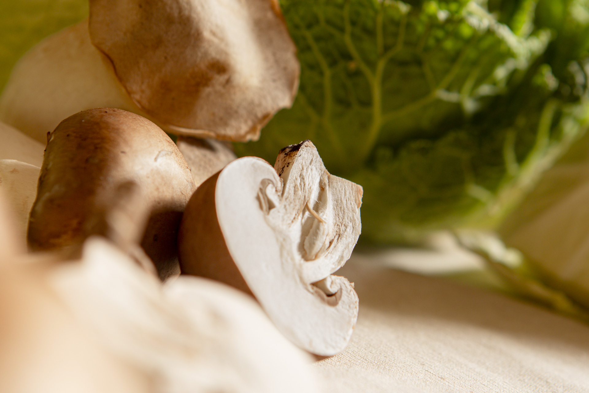 Wirsing-Pilz-Lasagne mit Béchamelsoße | Ökokiste